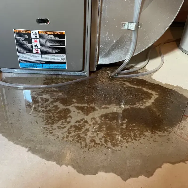 Appliance Leak Cleanup in East Dundee, IL